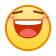 表情[hanxiao]-我爱车改